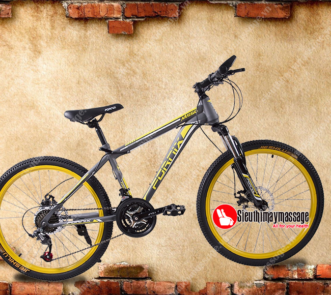 Xe đạp thể thao 24 inch Fornix MS50 (Xám) - SIÊU THỊ MÁY MASSAGE