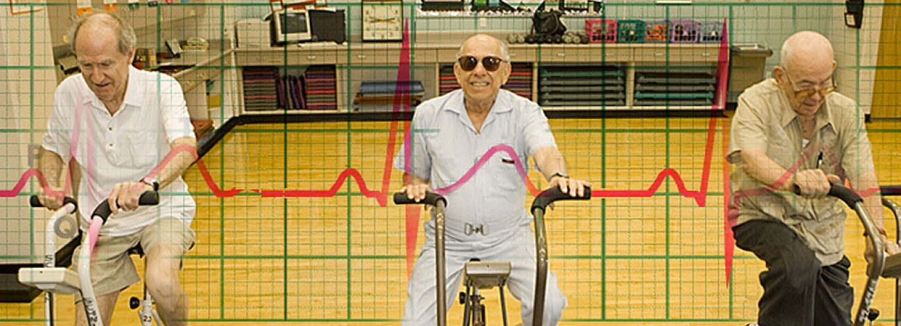 xe dap the duc cho nguoi cao tuoi 5 - Xe đạp tập thể dục cho người cao tuổi
